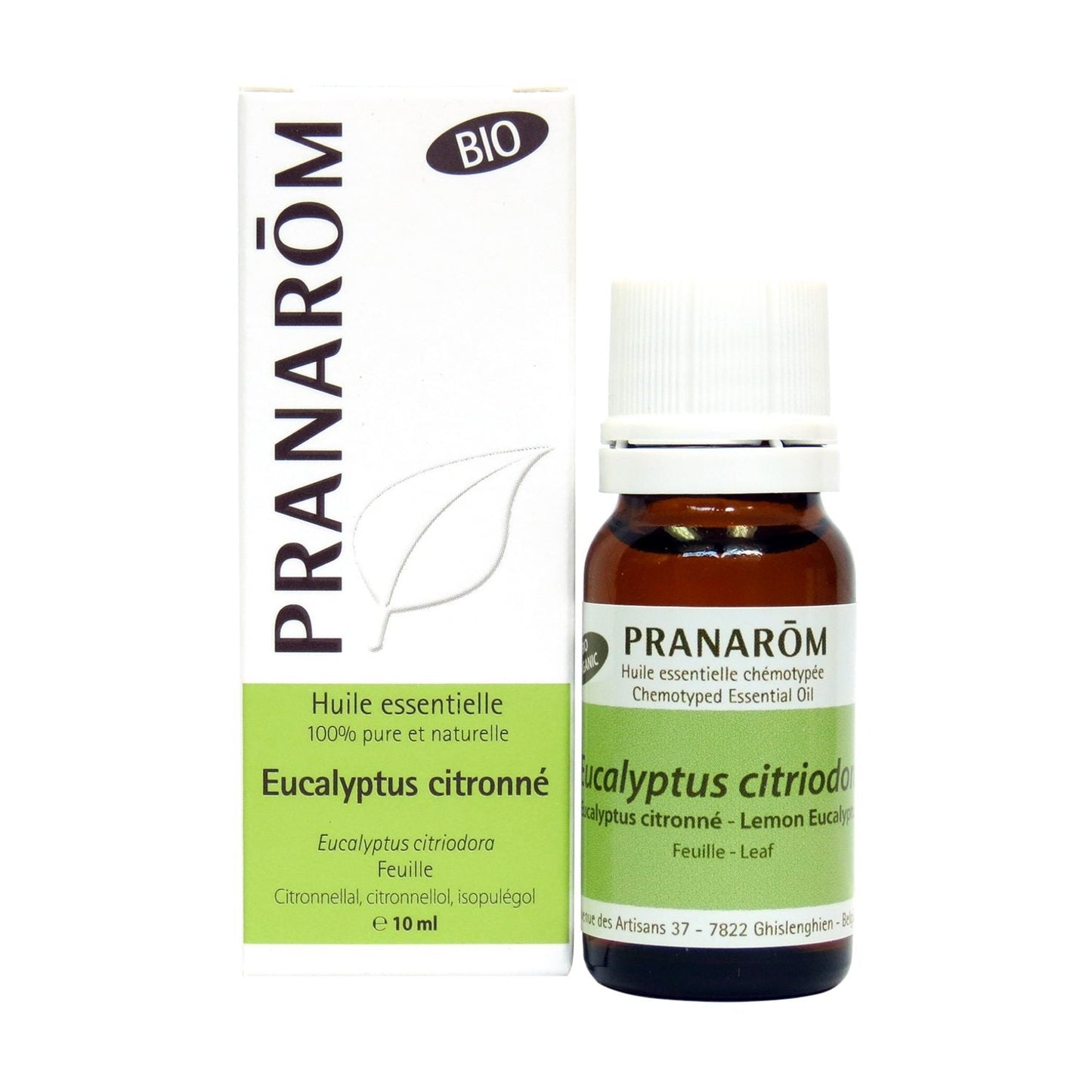 Eucalyptus citronné