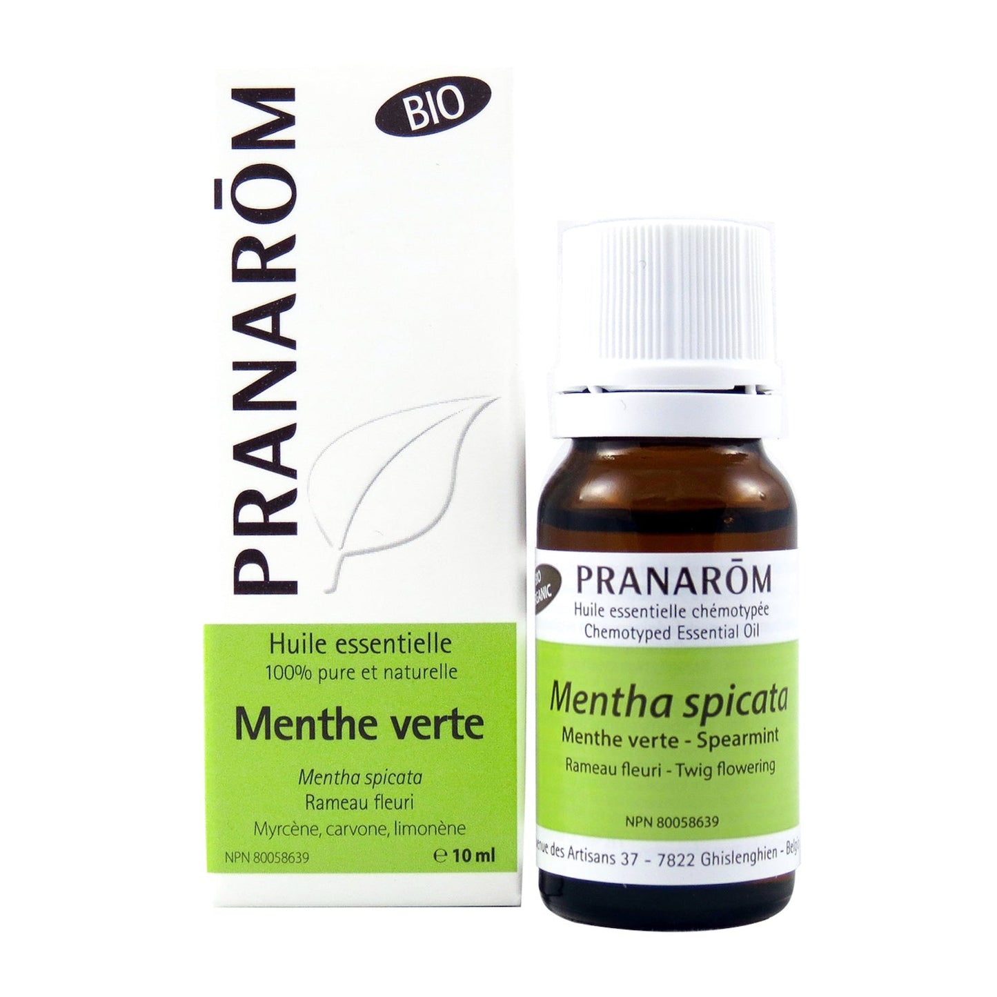 Menthe verte