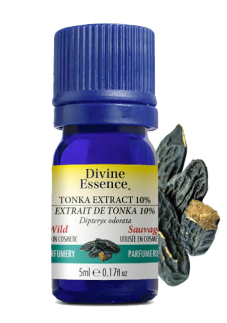 Divine Essence