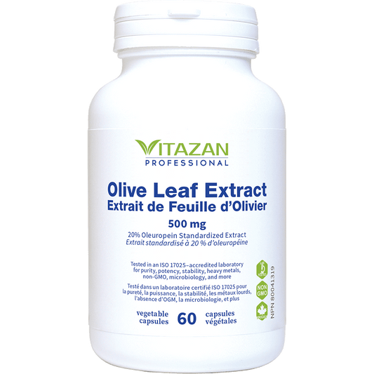 Olive Leaf Extract (500 mg · 20% Oleuropein Standardized Extract)