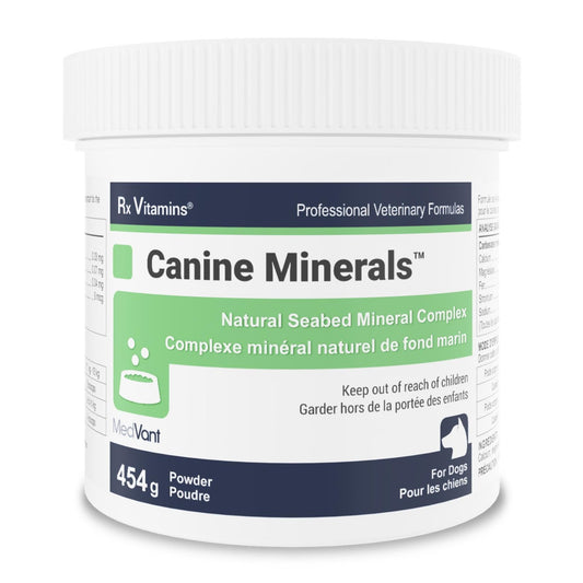 Rx Vitamins mélange de minéraux en poudre pour chien - 454 g