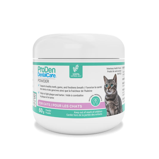 ProDen DentalCare poudre pour chats 60 g