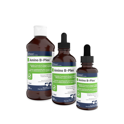 Rx Vitamins Amino B-Plex liquide - 120 ml