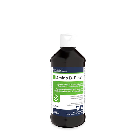 Rx Vitamins Amino B-Plex liquide - 120 ml