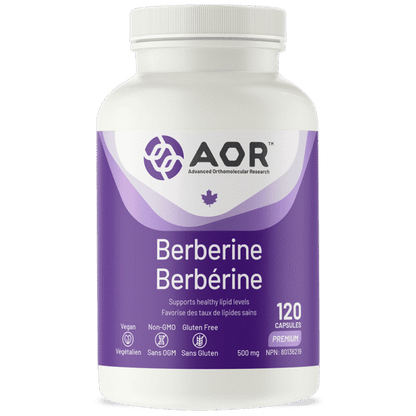 Berbérine
