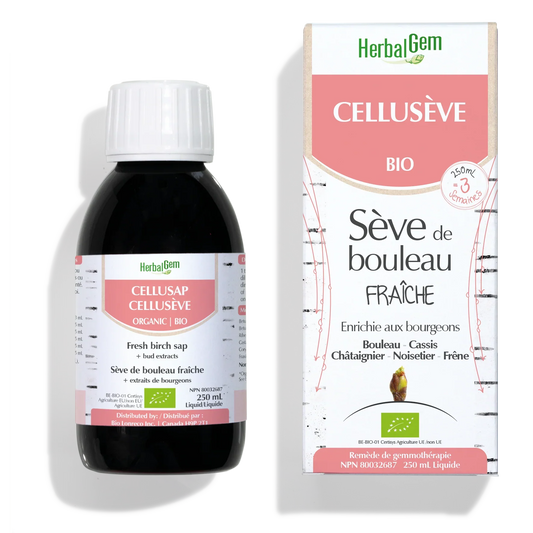 CELLUSÈVE - G21