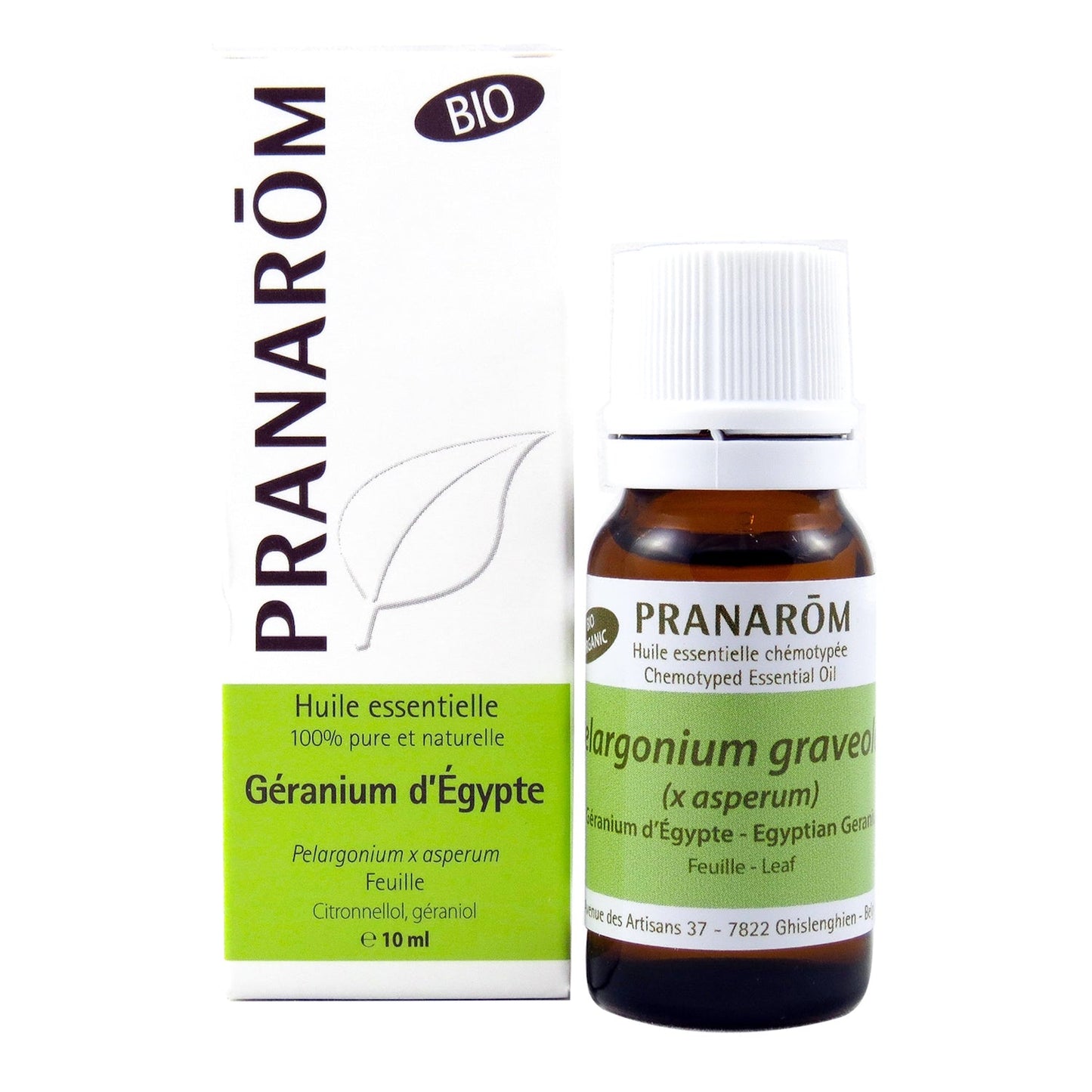 Géranium d'Egypte