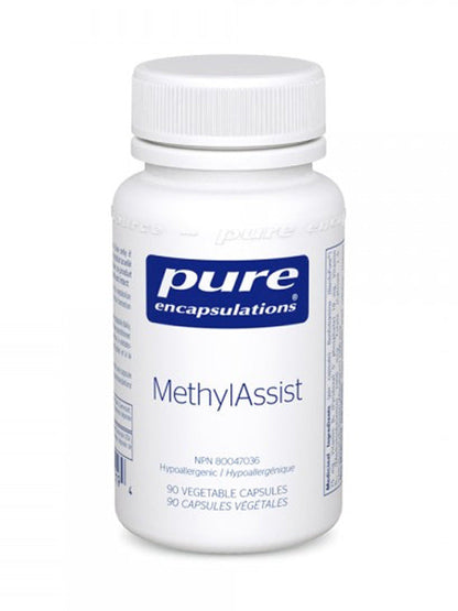 MethylAssist