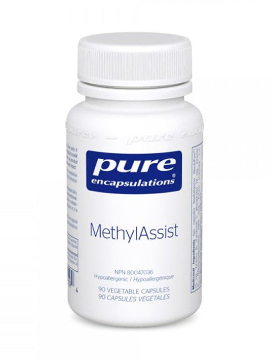 MethylAssist