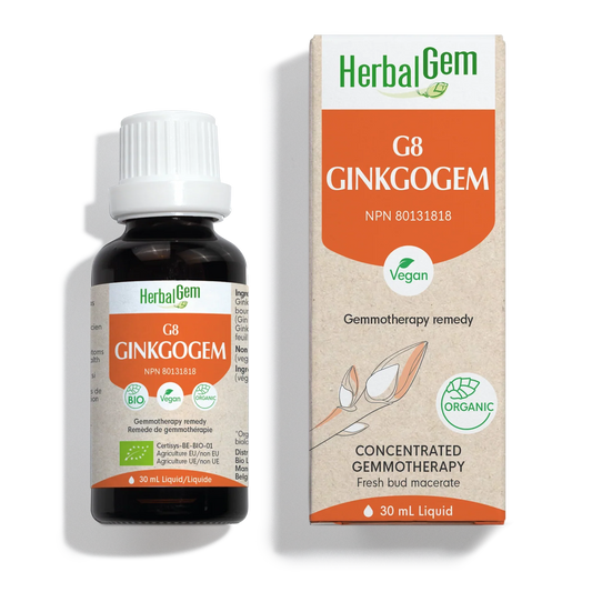 G8 GINKOGEM