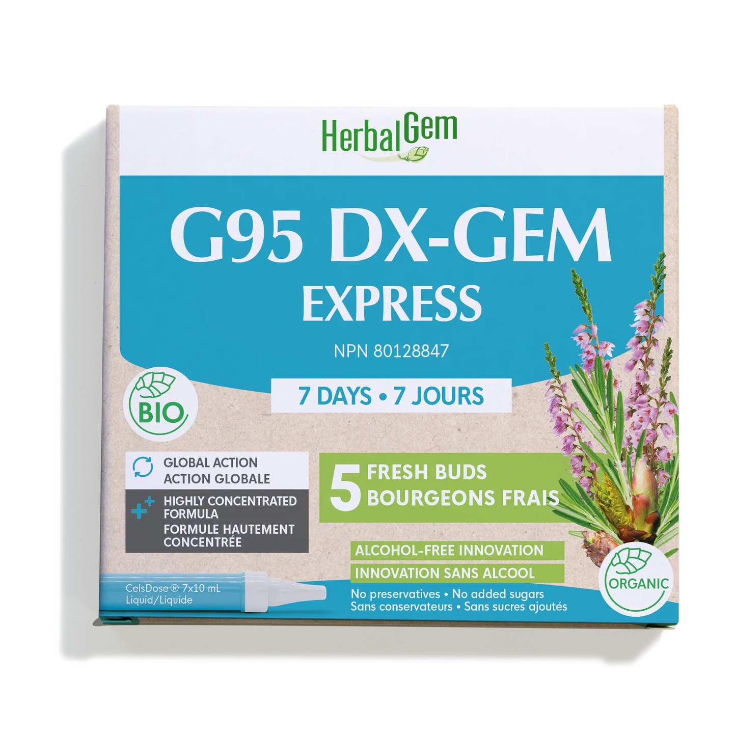 G95 DX-GEM EXPRESS - 7 jours