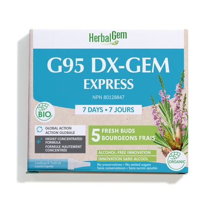 G95 DX-GEM EXPRESS - 7 jours