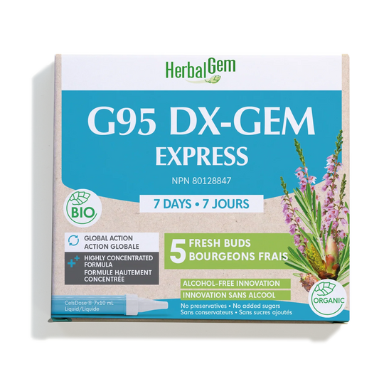 G95 DX-GEM EXPRESS - 7 jours