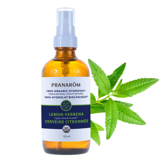 Hydrolat Verveine citronnée