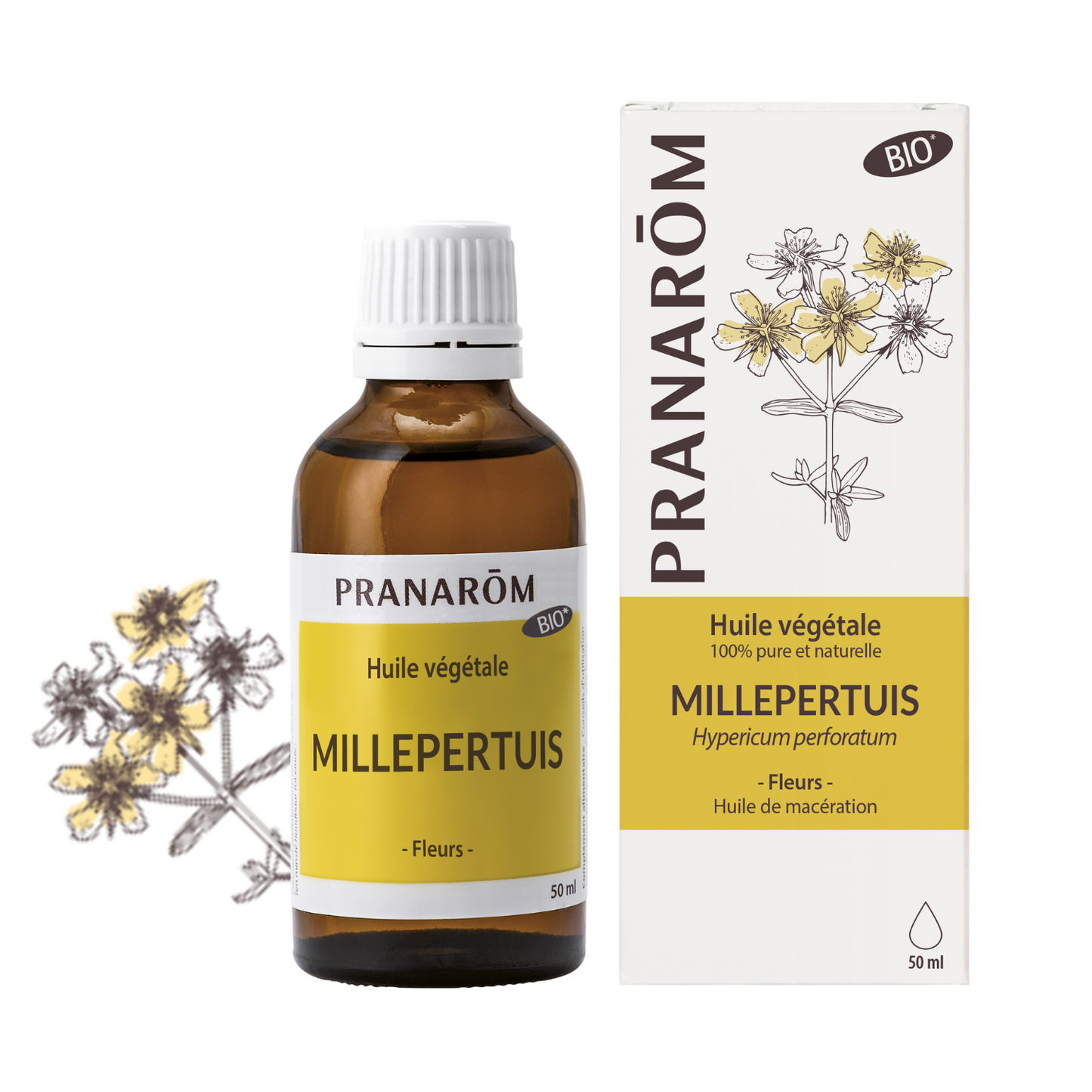 Millepertuis