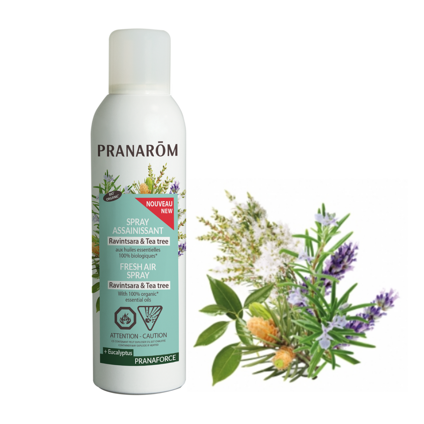 Spray Ravintsara Tea tree