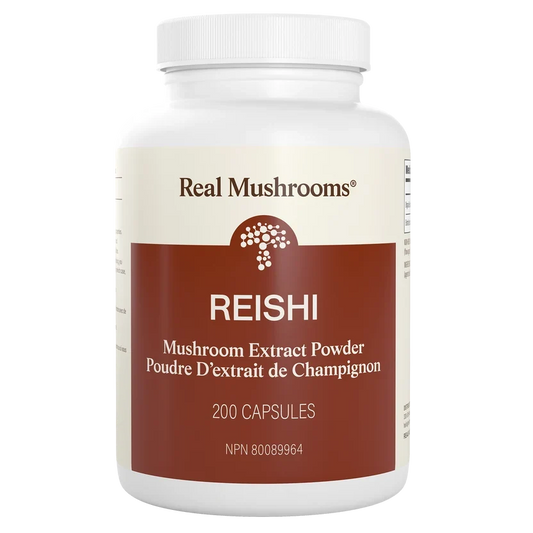 Reishi