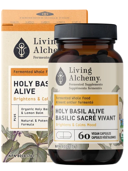 Basilic Sacré Vivant
