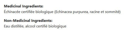 Echinapura