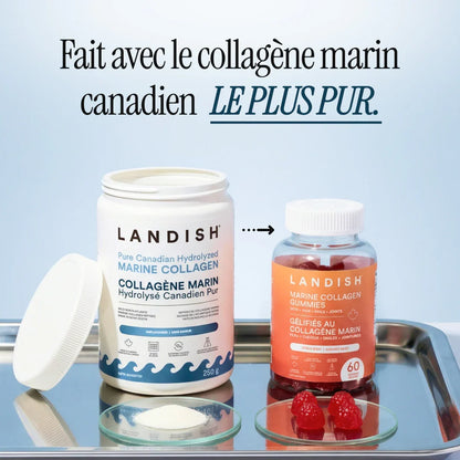 Gélifiés au collagène marin