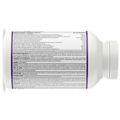 Ortho Bone