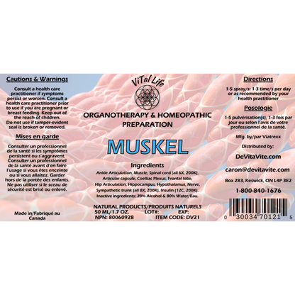 MuSkel