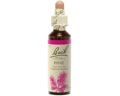 Pine - Pin