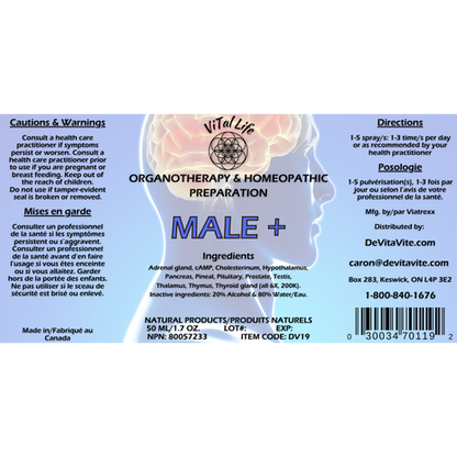 Male +