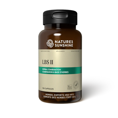 LBS II