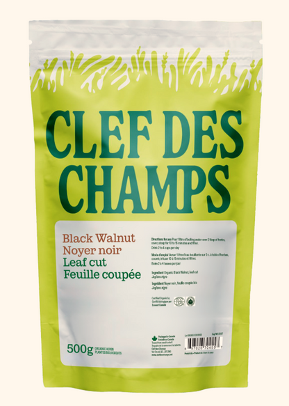 Noyer noir - Feuille