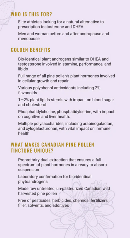 Teinture de pollen de pin bio - double extrait