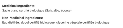 Saule blanc