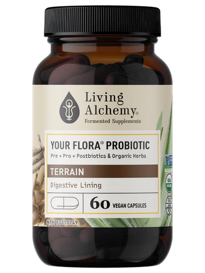 Votre Flore Probiotique Terrain